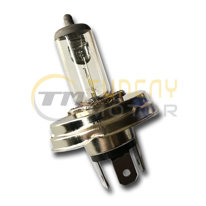 Far Ampülü 12V 25/25W H4