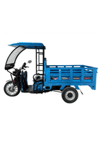 Zlin Motors Thor Modeli Kabini - 3 Tekerli Kabini