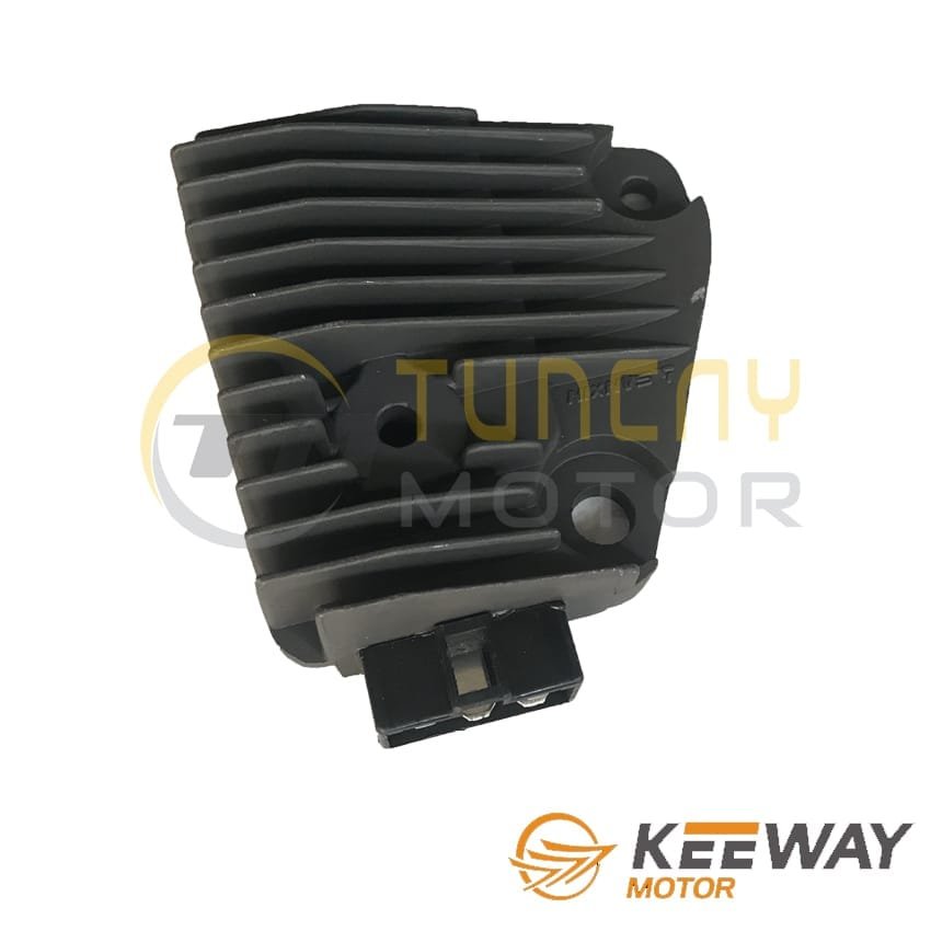 Motoran XV 250/ Virago 250/ Bisan Roadstar/ Keeway Supershadow Konjektör