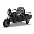 Zlin Motor Feniks Elektrikli Pikap 1600w