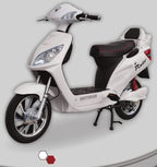 Motoran Pinto Elektrikli Bisiklet Arka Jant Motor 16" (48V - 250 Watt)